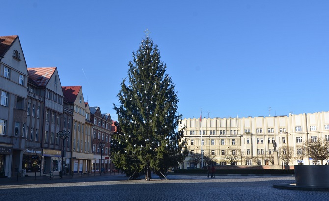 vánoční strom v Hradci Králové