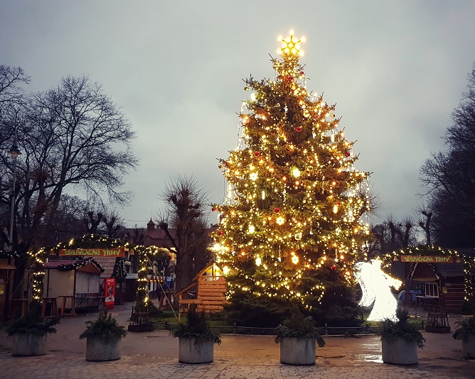 vánoční strom v Karlových Varech