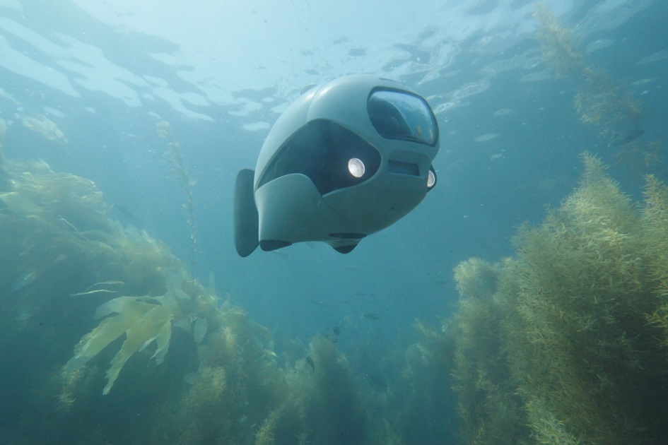 Zachyťte své zážitky pod vodní hladinou. Zkuste plovoucí bionický dron podobný rybě